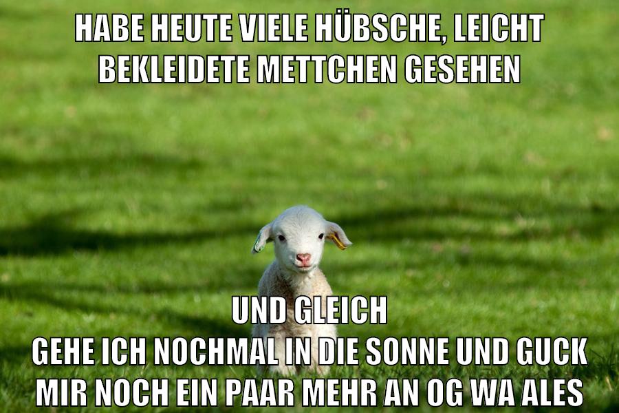habe heute viele hübsche, leicht bekleidete mettchen gesehen und gleich gehe ich nochmal in die sonne und guck mir noch ein paar mehr an og wa ales