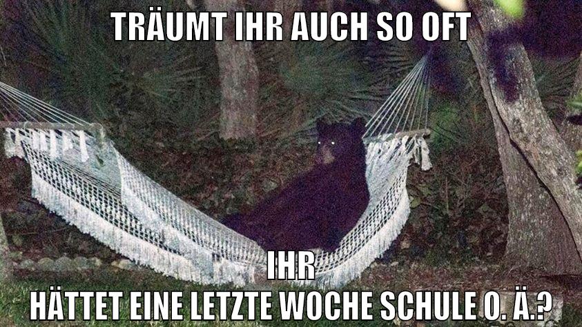 träumt ihr auch so oft ihr hättet eine letzte woche schule o. ä.?