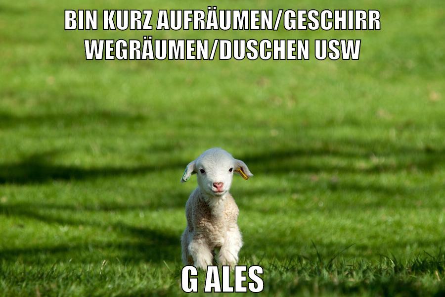 bin kurz aufräumen/geschirr wegräumen/duschen usw g ales