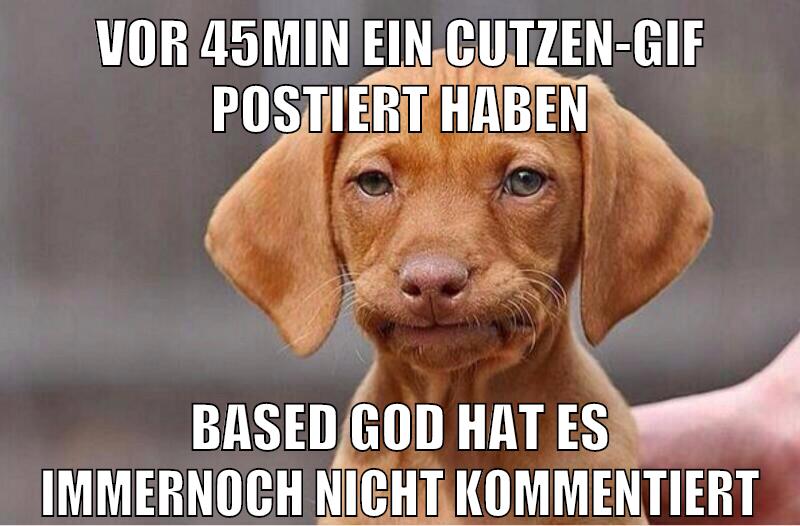 vor 45min ein cutzen-gif postiert haben based god hat es immernoch nicht kommentiert
