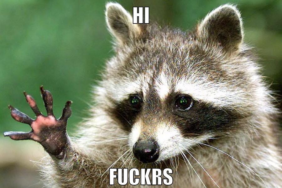 hi fuckrs