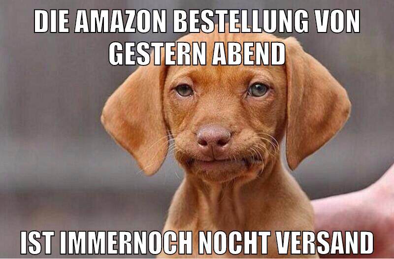 die amazon bestellung von gestern abend ist immernoch nocht versand