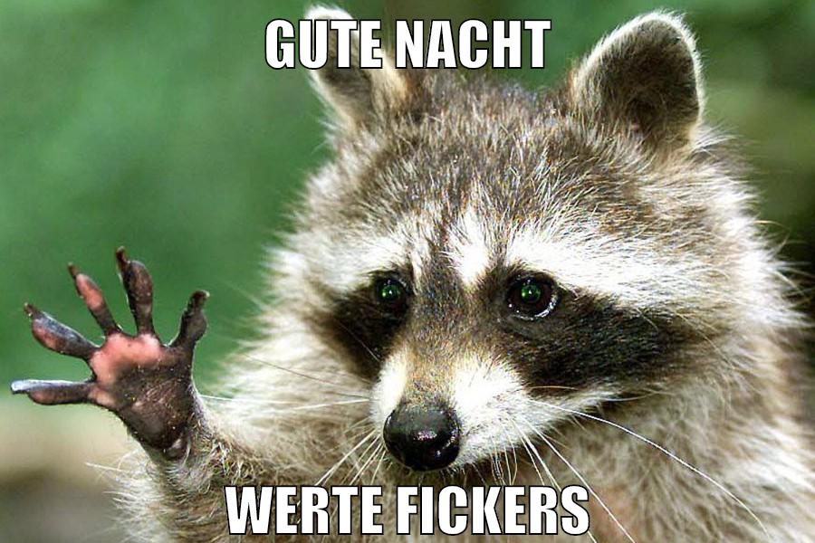 gute nacht werte fickers