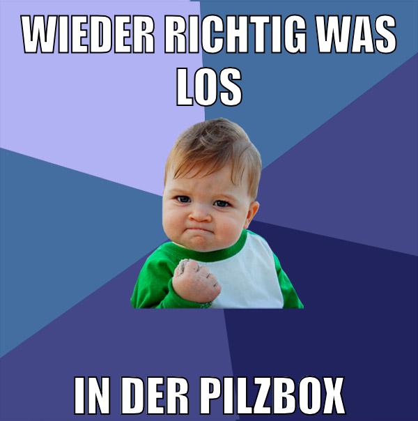 wieder richtig was los in der pilzbox