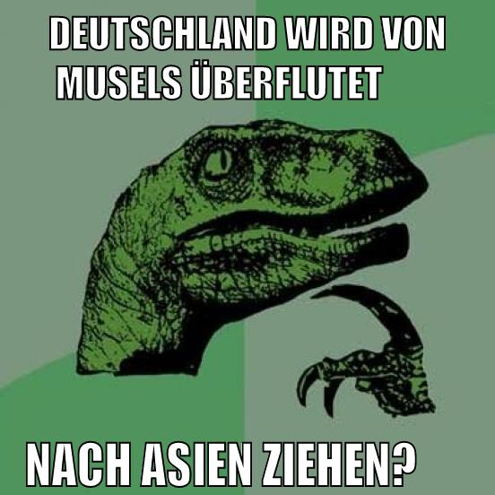 deutschland wird von musels überflutet nach asien ziehen?