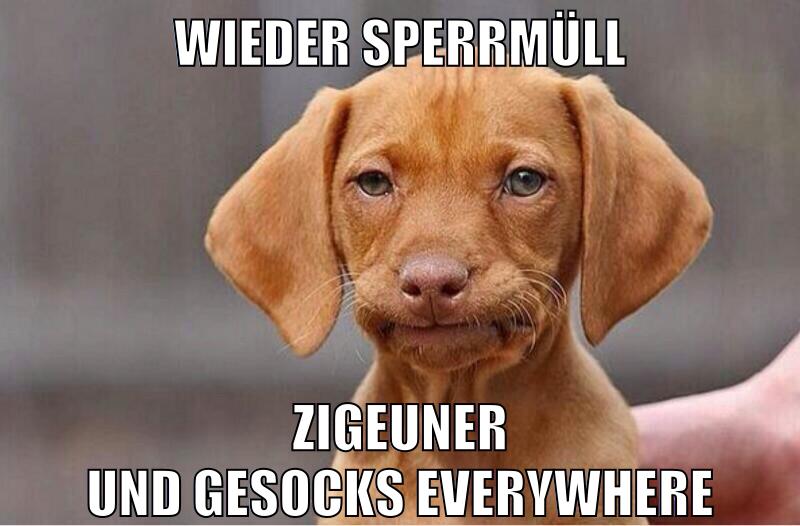 wieder sperrmüll zigeuner und gesocks everywhere