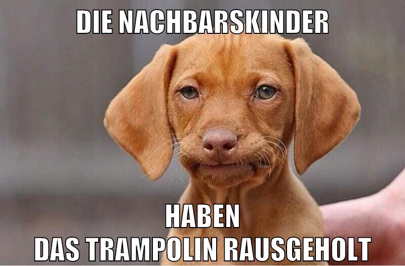 die nachbarskinder haben das trampolin rausgeholt