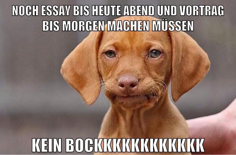 noch essay bis heute abend und vortrag bis morgen machen müssen kein bockkkkkkkkkkkk