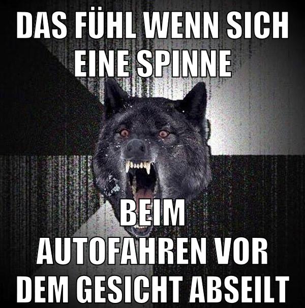 DAS FÜHL WENN SICH EINE SPINNE BEIM AUTOFAHREN VOR DEM GESICHT ABSEILT