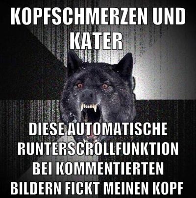 kopfschmerzen und kater diese automatische runterscrollfunktion bei kommentierten bildern fickt meinen kopf
