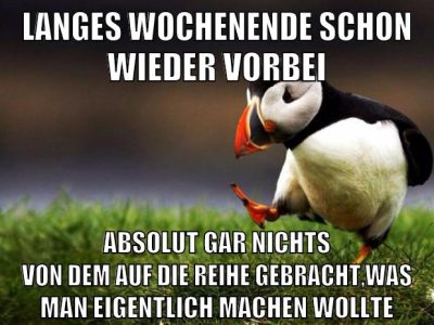 langes wochenende schon wieder vorbei absolut gar nichts von dem auf die reihe gebracht,was man eigentlich machen wollte