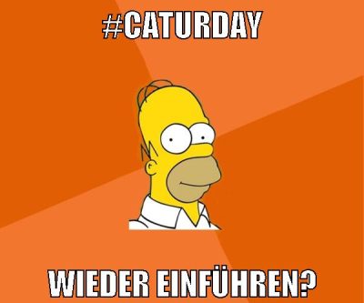 #Caturday wieder einführen?
