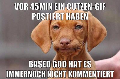 vor 45min ein cutzen-gif postiert haben based god hat es immernoch nicht kommentiert