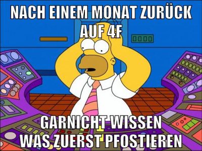nach einem monat zurück auf 4f garnicht wissen was zuerst pfostieren