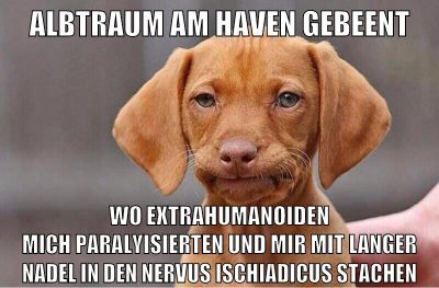 albtraum am haven gebeent wo extrahumanoiden mich paralyisierten und mir mit langer nadel in den nervus ischiadicus stachen