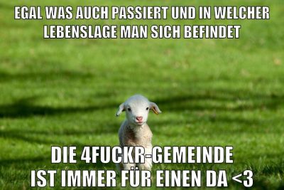 egal was auch passiert und in welcher lebenslage man sich befindet die 4fuckr-gemeinde ist immer für einen da <3