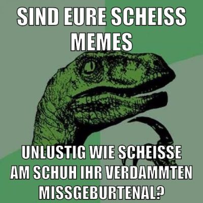 sind eure scheiss memes unlustig wie scheisse am schuh ihr verdammten missgeburtenal?