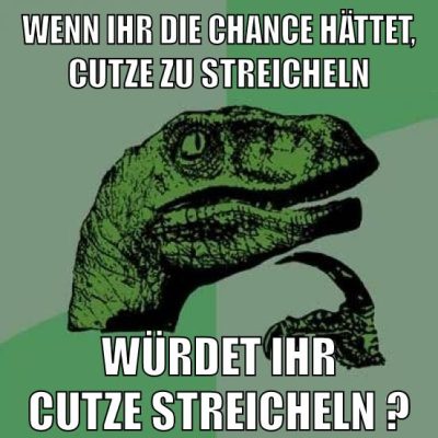 wenn ihr die chance hättet, cutze zu streicheln würdet ihr cutze streicheln ?