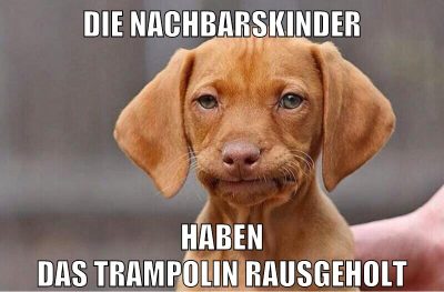 die nachbarskinder haben das trampolin rausgeholt