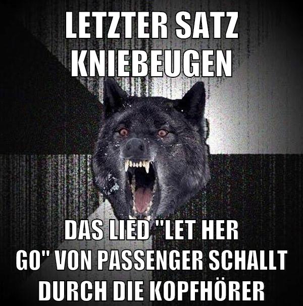 Letzter satz kniebeugen das lied "let her go" von passenger schallt durch die kopfhörer