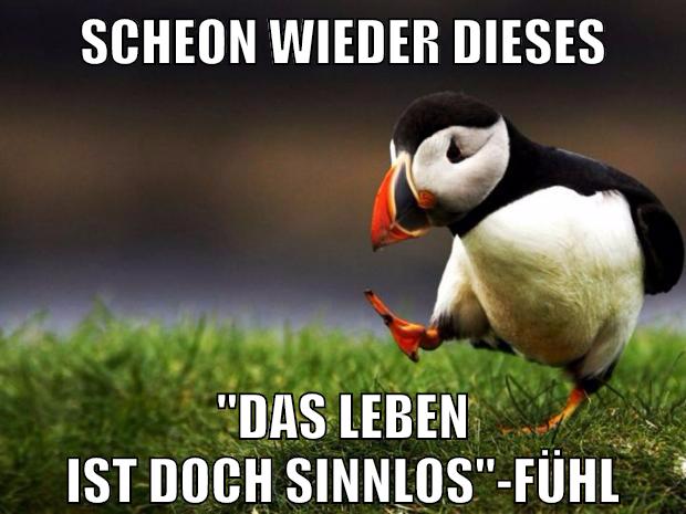 scheon wieder dieses "das leben ist doch sinnlos"-fühl