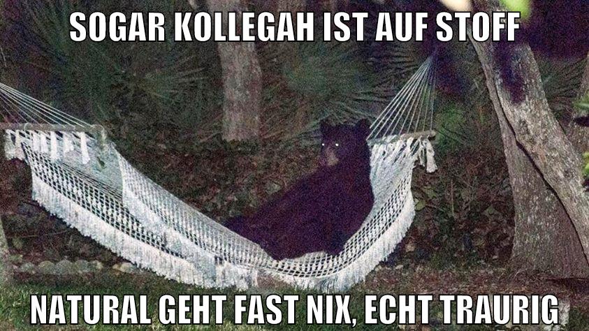 sogar kollegah ist auf stoff natural geht fast nix, echt traurig