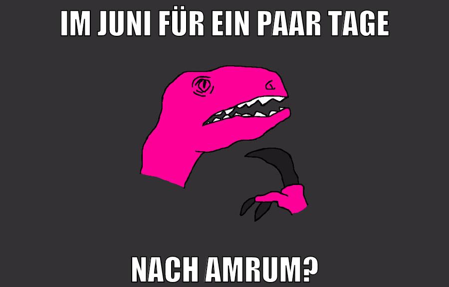 im juni für ein paar tage nach amrum?