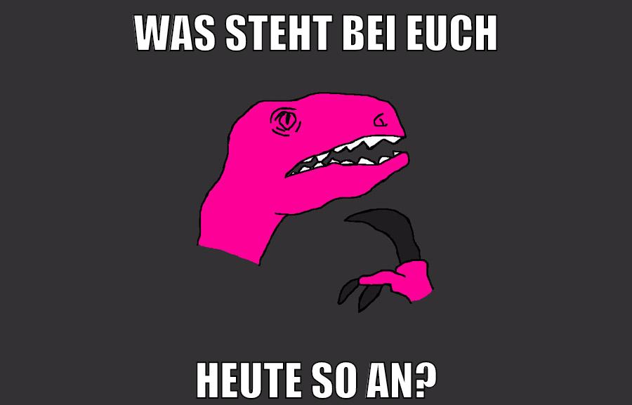 was steht bei euch heute so an?