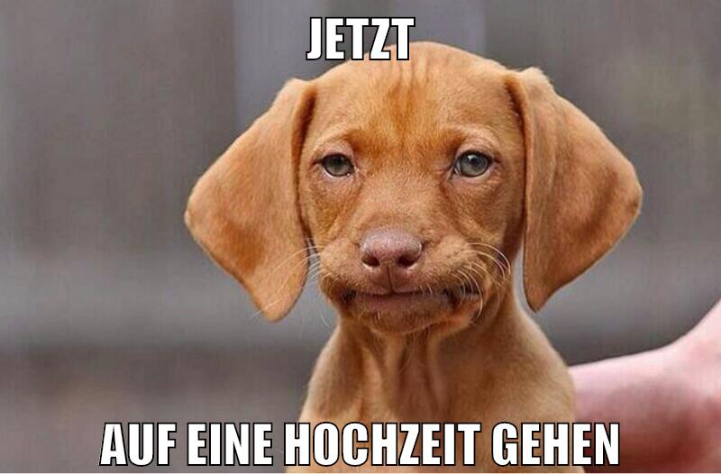 jetzt auf eine hochzeit gehen