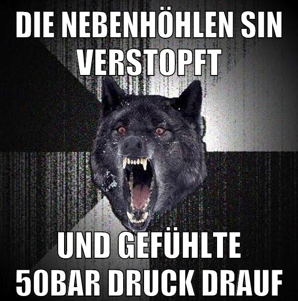 die nebenhöhlen sin verstopft und gefühlte 50bar druck drauf