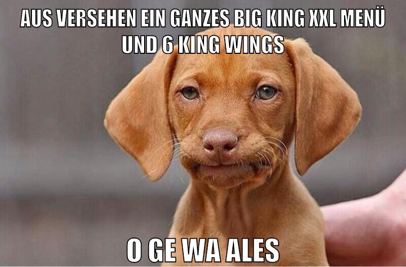 aus versehen ein ganzes big king xxl menü und 6 king wings o ge wa ales