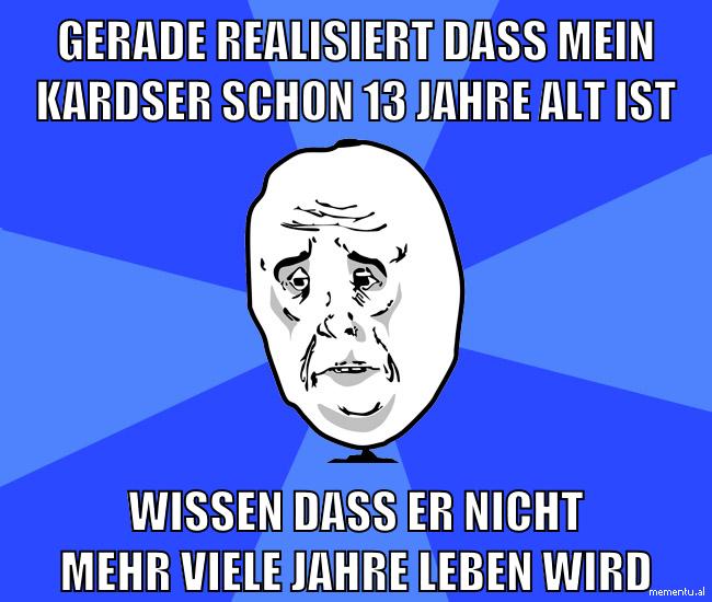 gerade realisiert dass mein kardser schon 13 jahre alt ist wissen dass er nicht mehr viele jahre leben wird
