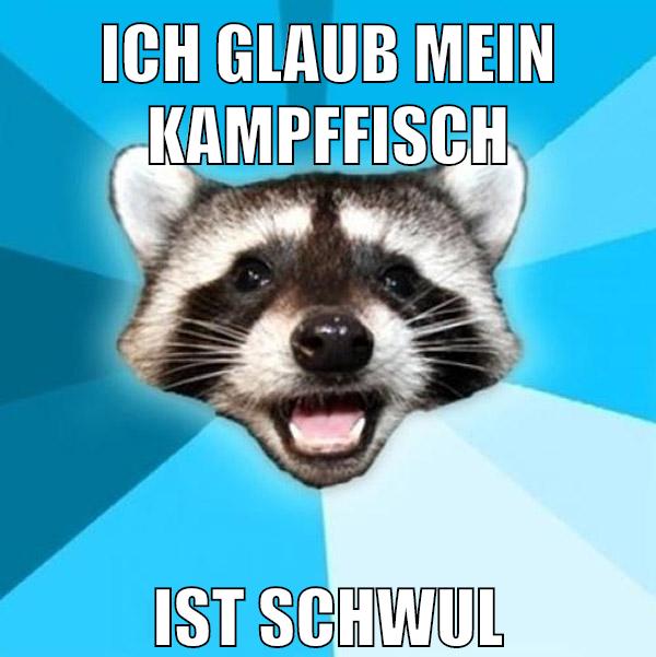 ich glaub mein Kampffisch ist schwul