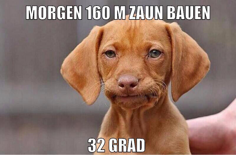 morgen 160 m zaun bauen 32 grad