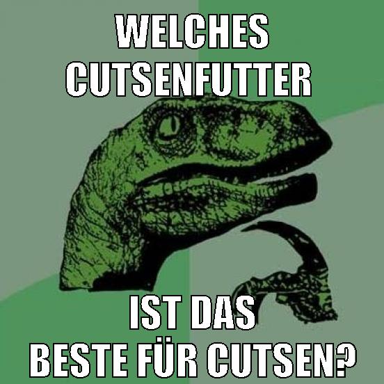 welches cutsenfutter ist das beste für cutsen?