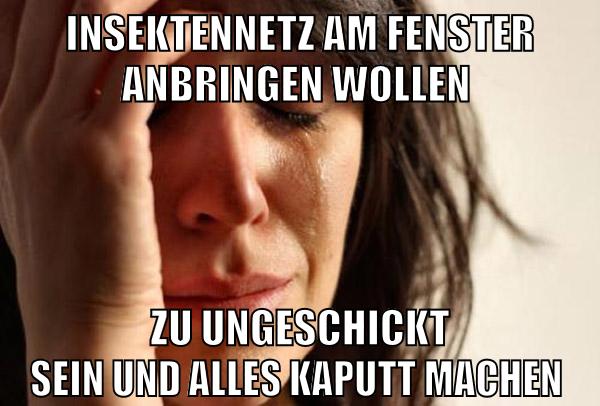insektennetz am fenster anbringen wollen zu ungeschickt sein und alles kaputt machen