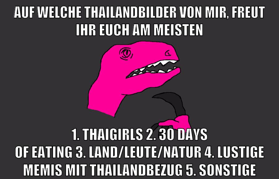 auf welche thailandbilder von mir, freut ihr euch am meisten 1. thaigirls 2. 30 days of eating 3. land/leute/natur 4. lustige memis mit thailandbezug 5. sonstige
