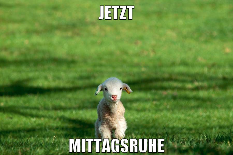 jetzt mittagsruhe