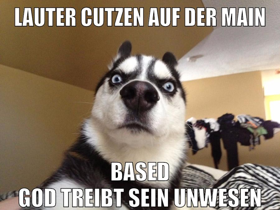 lauter cutzen auf der main based god treibt sein unwesen