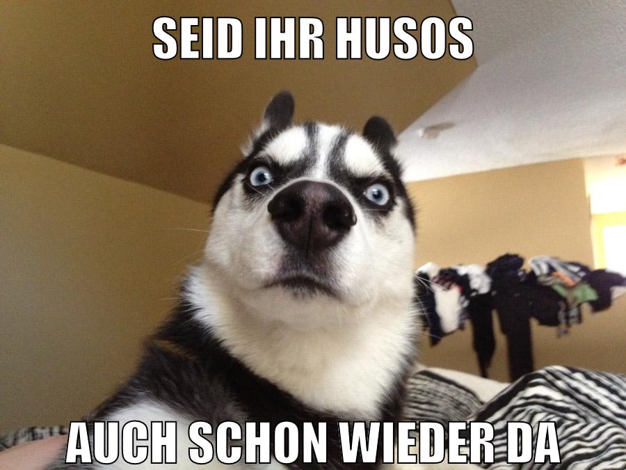 seid ihr husos auch schon wieder da
