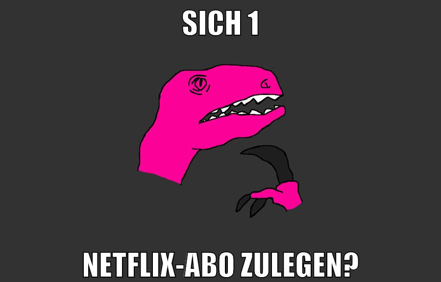 sich 1 netflix-abo zulegen?