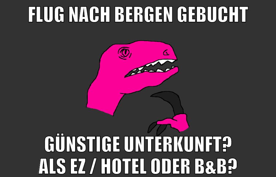 flug nach bergen gebucht günstige unterkunft? als EZ / Hotel oder B&B?