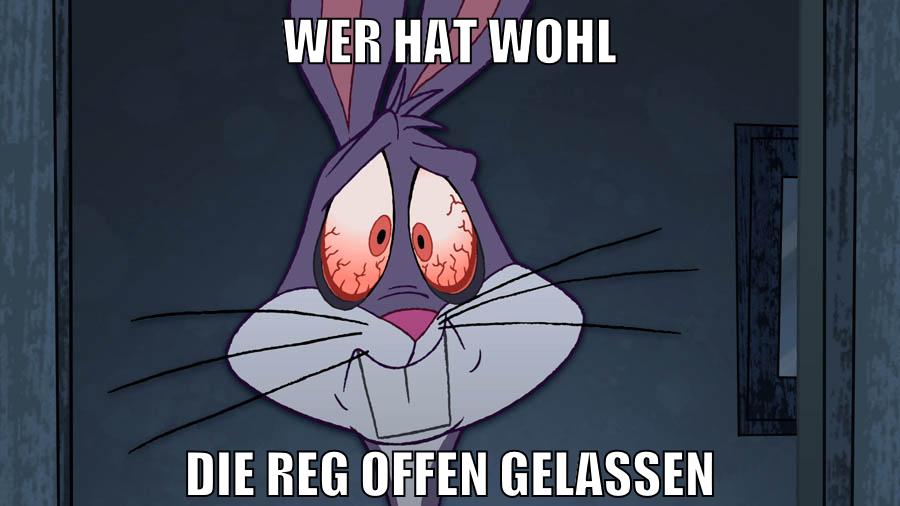 wer hat wohl die reg offen gelassen
