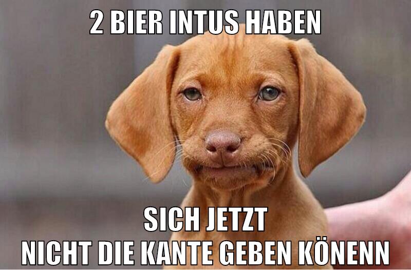 2 bier intus haben sich jetzt nicht die kante geben könenn