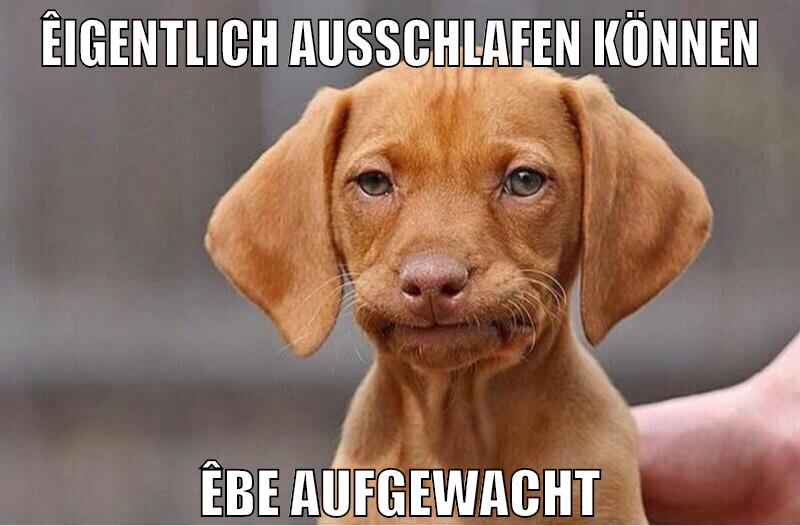êigentlich ausschlafen können êbe aufgewacht