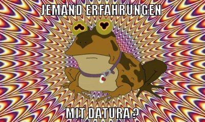 jemand erfahrungen mit datura ?