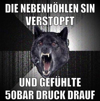 die nebenhöhlen sin verstopft und gefühlte 50bar druck drauf