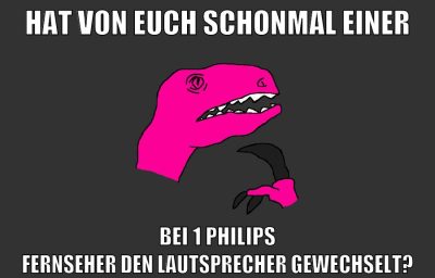 hat von euch schonmal einer bei 1 philips fernseher den lautsprecher gewechselt?