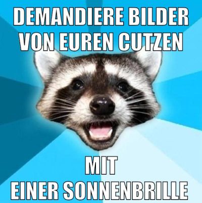 demandiere bilder von euren cutzen mit einer Sonnenbrille