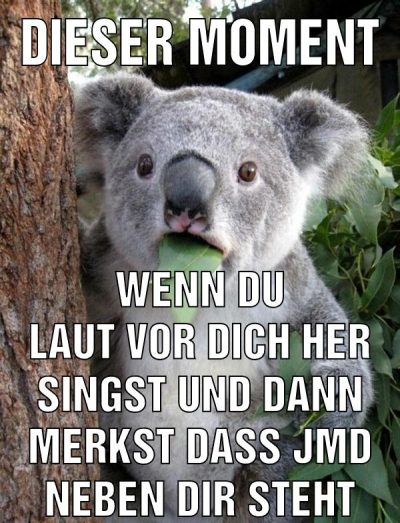 dieser moment wenn du laut vor dich her singst und dann merkst dass jmd neben dir steht